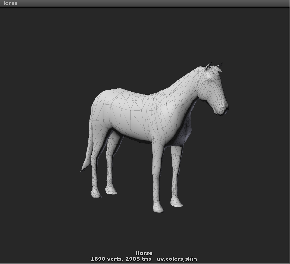 Horse model used